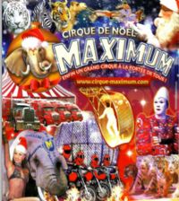 Cirque de Noel Carcassonne. Du 19 décembre 2015 au 3 janvier 2016 à carcassonne. Aude.  15H30